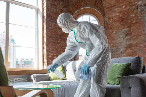 Best Mold Remediation for Healthcare Facilities in Bystrom, CA