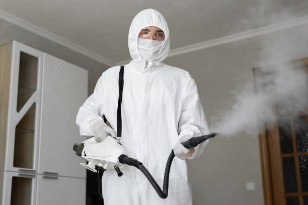 Best Mold Removal for HVAC Installations in Bystrom, CA